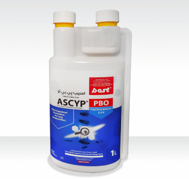 1L ASCYP PBO, 111110285