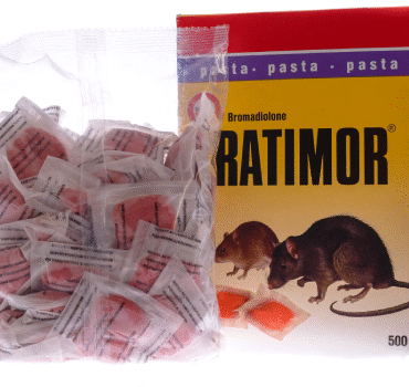RATIMOR PASTA