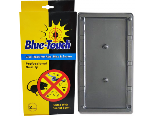 BLUE TOUCH JUMBO GLUE TRAPS, 2 TRAPS, PEANUT SCENT, 111101820