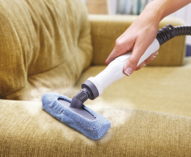 Steam Cleaners