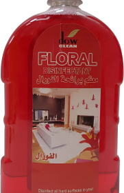 DOW CLEAN FLORAL DISINFECTANT CLEANER, 1x750ML, 6297000771755