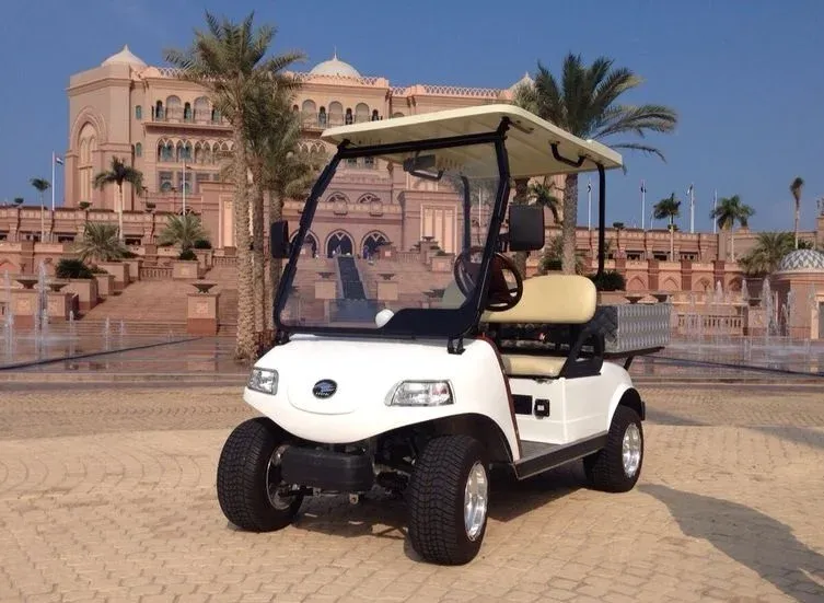 Lithium Powered Electric Passenger Cars